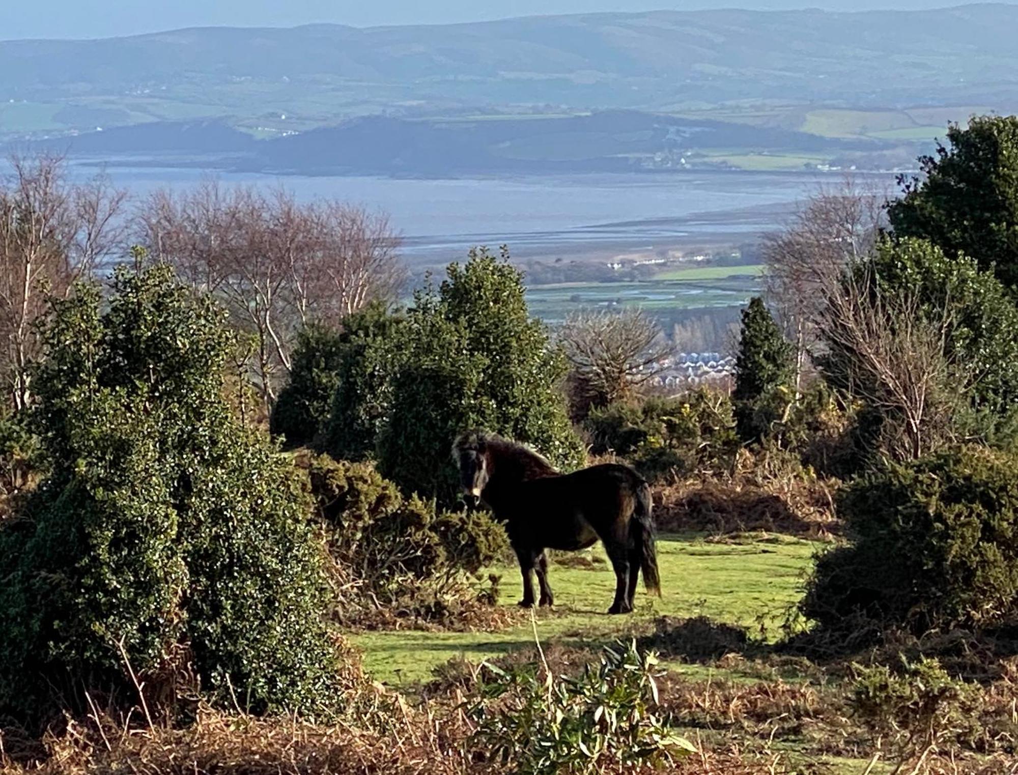 Exmoor Retreat On Two Moors Way Withypool Exterior foto